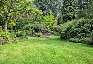 Optimiser l'expérience du jardin à Neuville-les-Vaucouleurs